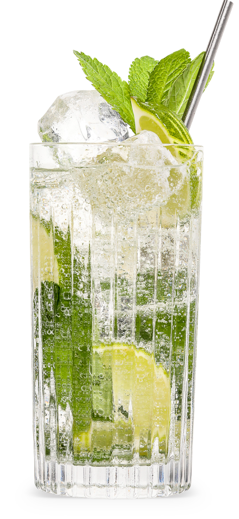THE SOUTHSIDE A.K.A. THE GIN MOJITO